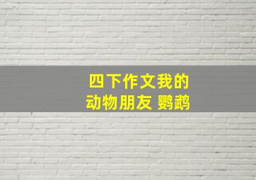 四下作文我的动物朋友 鹦鹉